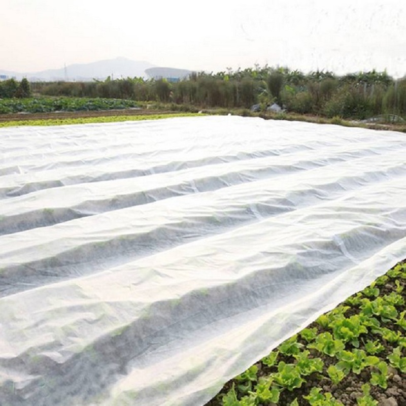 Jinchen ultra width spunbond nonwoven fabric awarded supplier for greenhouse-1