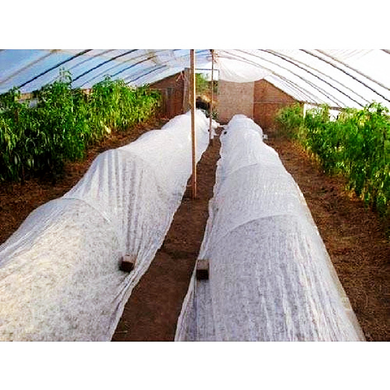 Jinchen latest agricultural cloth chinese manufacturer for garden-1