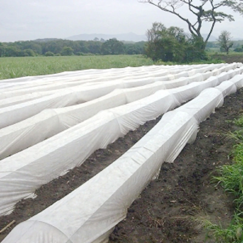 Agriculture PP Spunbond Nonwoven Fabric For Plant Cover