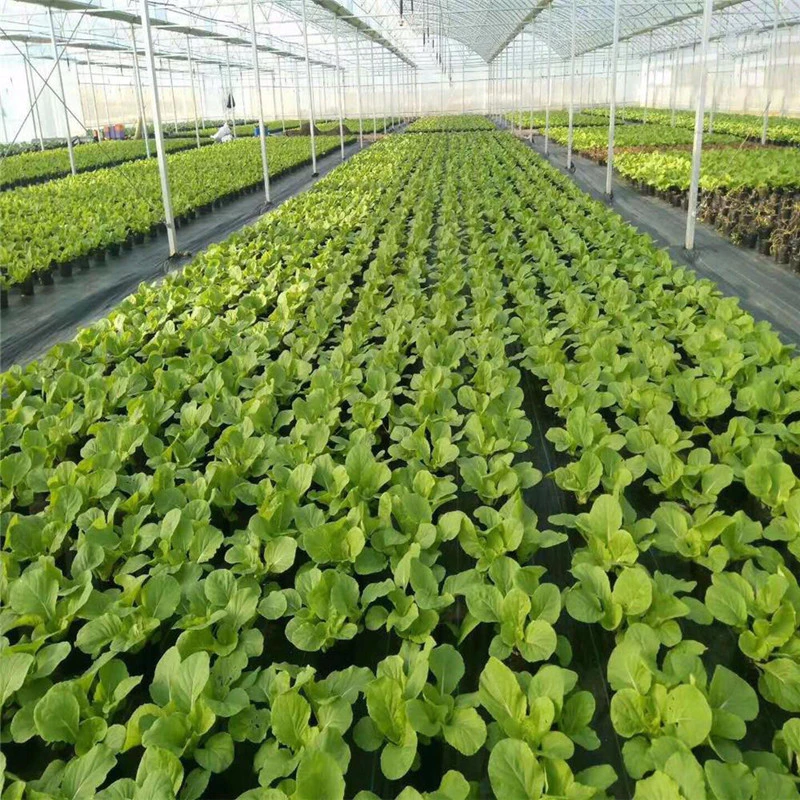polypropylene nonwoven fabric for weed control in agriculture