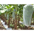 eco-friendly-uv-nonwoven-fabric-for-agriculture-800x800.jpg