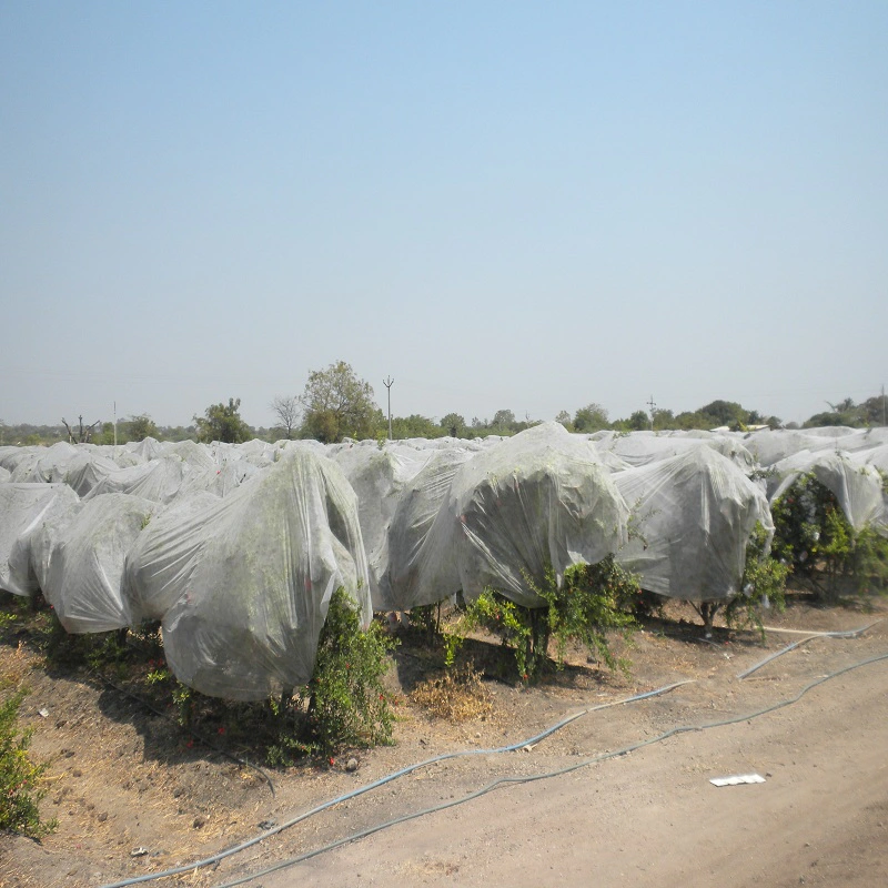 Agricultural pp nonwoven fabric anti-hail and frost