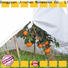 anti uv agricultural cloth one-stop services for tree