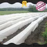 Jinchen agriculture non woven fabric affordable solutions for tree