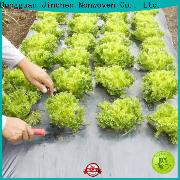 Jinchen professional agricultural fabric manufacturer for garden