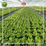 Jinchen ultra width spunbond nonwoven fabric wholesaler trader for greenhouse