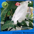 latest non woven cloth chinese manufacturer for tree