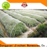 Jinchen agriculture non woven fabric one-stop services for greenhouse
