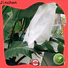 Jinchen best fruit tree covers solution expert for tree