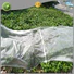 Jinchen spunbond nonwoven fabric producer for greenhouse