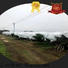 Jinchen anti uv agricultural fabric exporter for tree