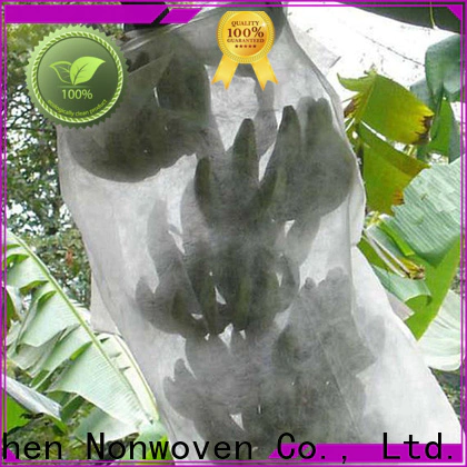 Jinchen latest fruit cover bag solution expert for tree