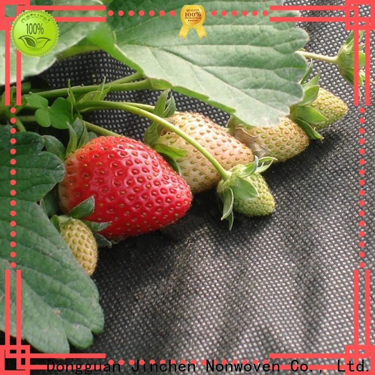 Jinchen best agricultural fabric exporter for garden