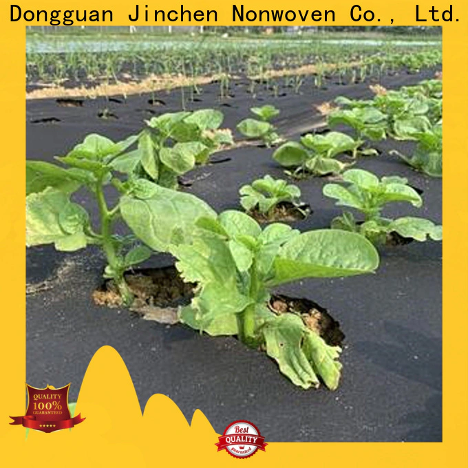 Jinchen anti uv agricultural fabric affordable solutions for garden