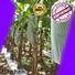 waterproof fruit tree protection one-stop services for tree