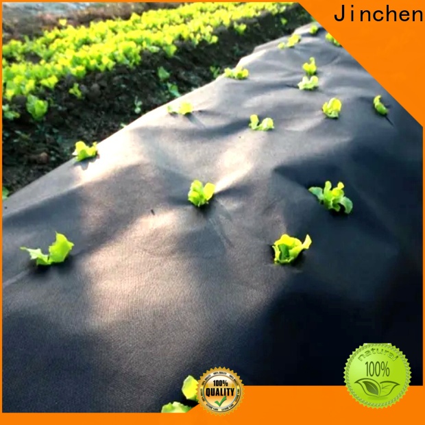 Jinchen professional agriculture non woven fabric awarded supplier for tree