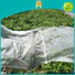 Jinchen custom agriculture non woven fabric solution expert for greenhouse
