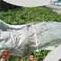 Jinchen top agricultural fabric suppliers manufacturer for greenhouse