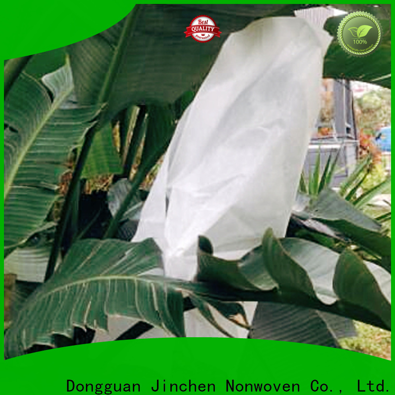 Jinchen custom fruit tree covers solution expert fpr fruit protection