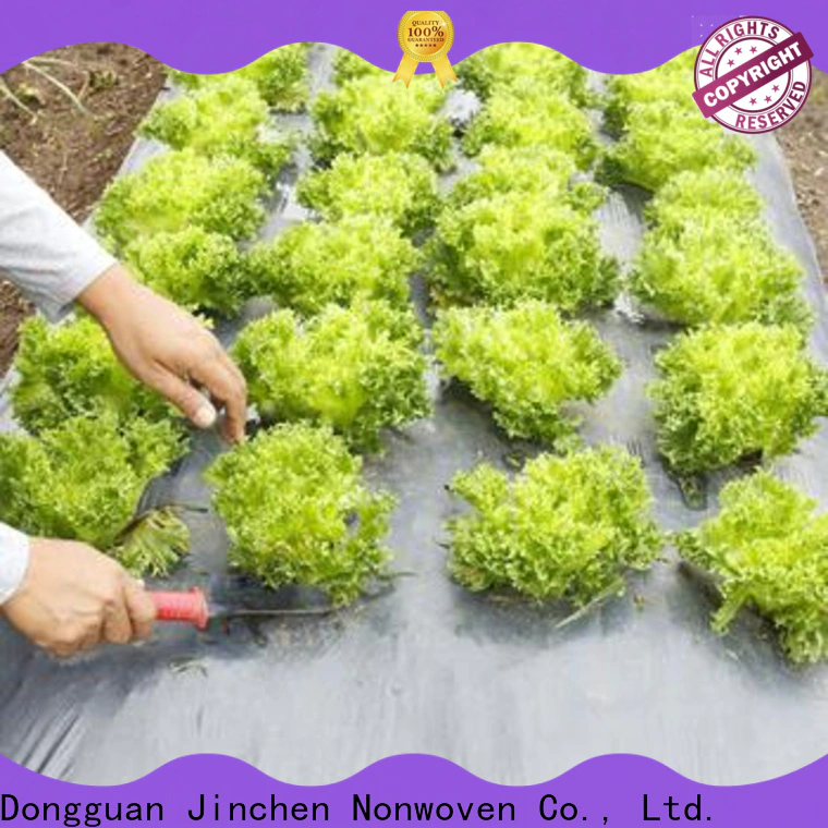 latest agriculture non woven fabric wholesaler trader for greenhouse