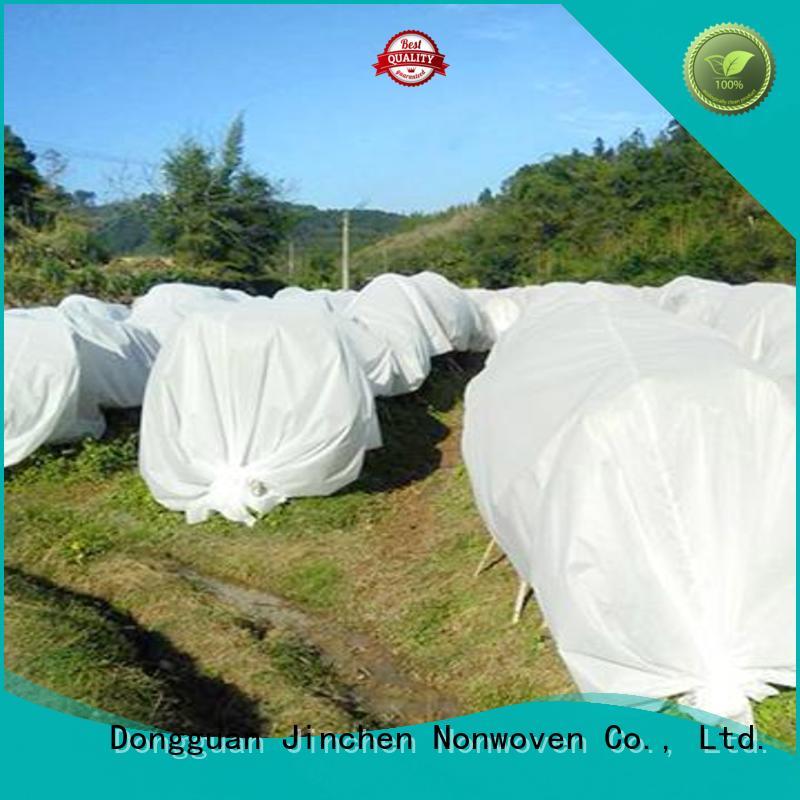 Jinchen professional spunbond nonwoven fruit cover for tree