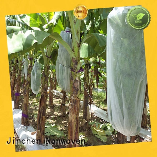 Jinchen fruit tree protection company fpr fruit protection