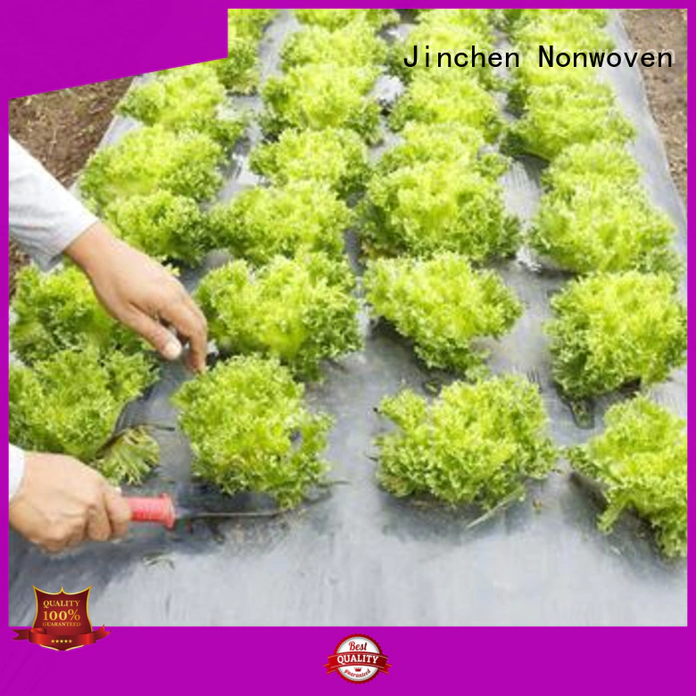 Jinchen high quality agriculture non woven fabric forest protection for garden