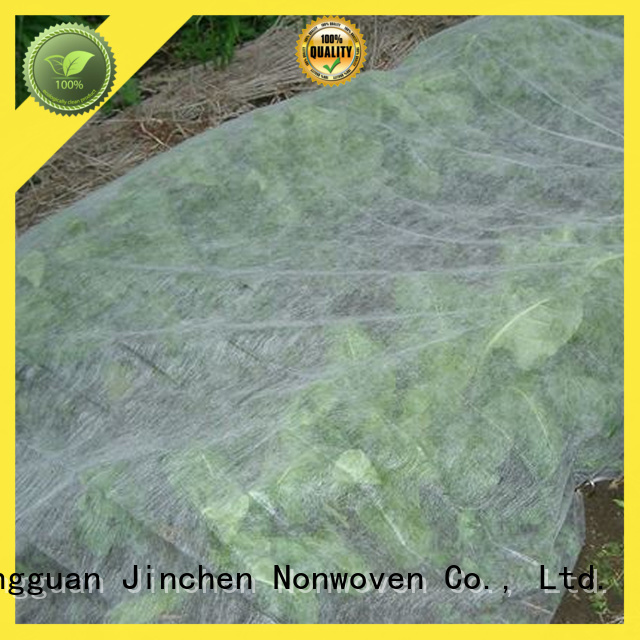 professional agricultural cloth ground treated for tree
