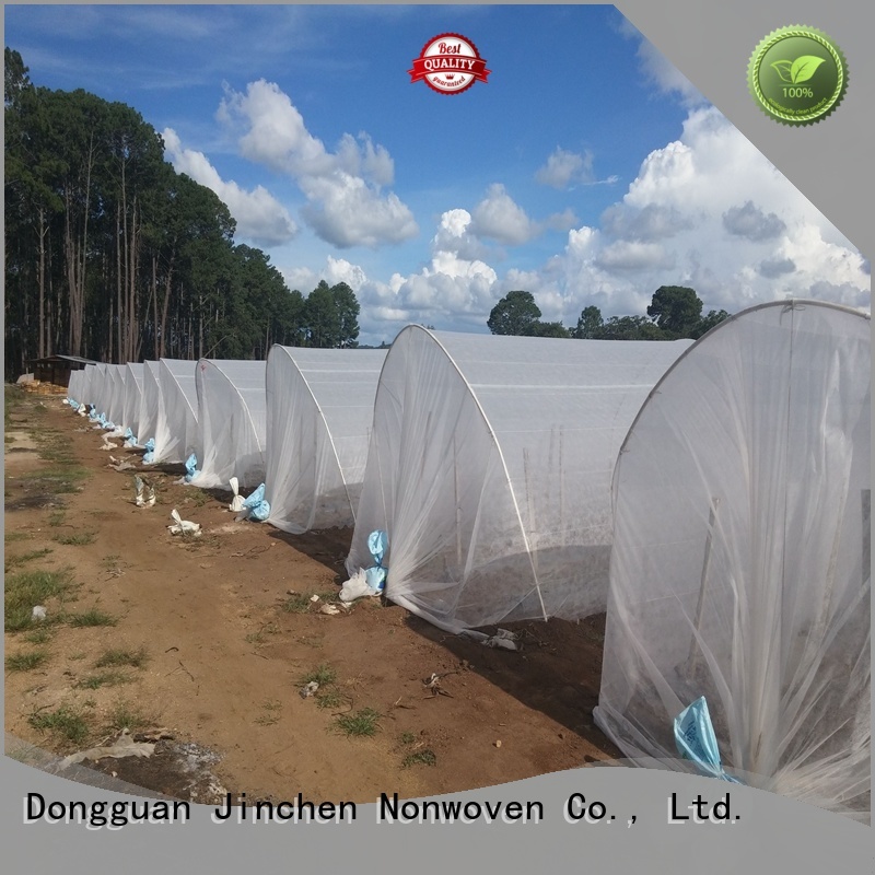 Jinchen agricultural fabric fruit cover for tree
