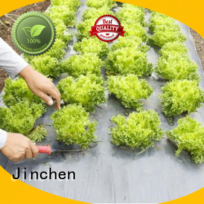 Jinchen agricultural fabric ground treated for tree