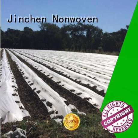 Jinchen professional pp non woven fabric for tree