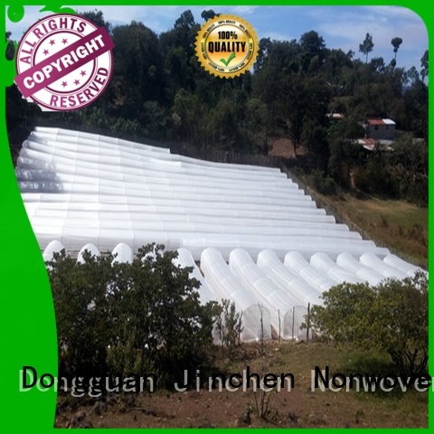 Jinchen anti uv spunbond nonwoven fabric forest protection for garden