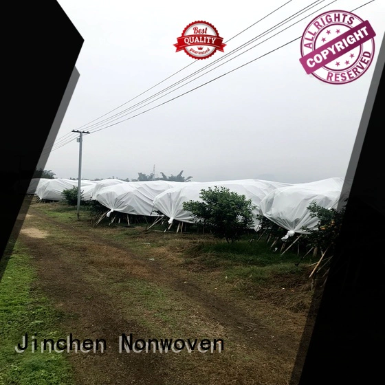 Jinchen spunbond nonwoven fabric fruit cover for tree