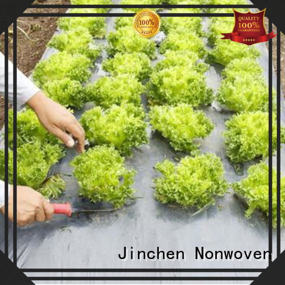 Jinchen high quality agricultural cloth fruit cover for greenhouse