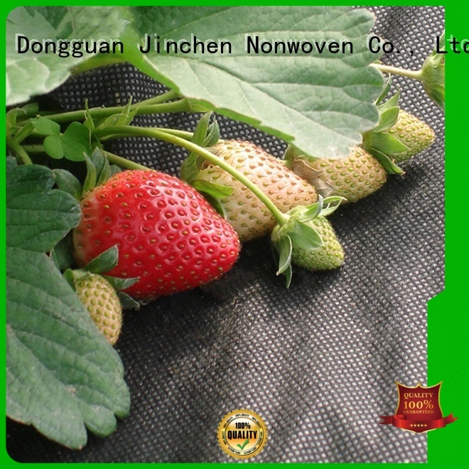 custom agricultural cloth fruit cover for greenhouse