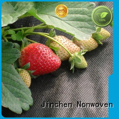 Jinchen top agricultural fabric suppliers fruit cover for tree