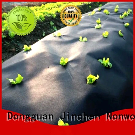Jinchen spunbond nonwoven forest protection for greenhouse